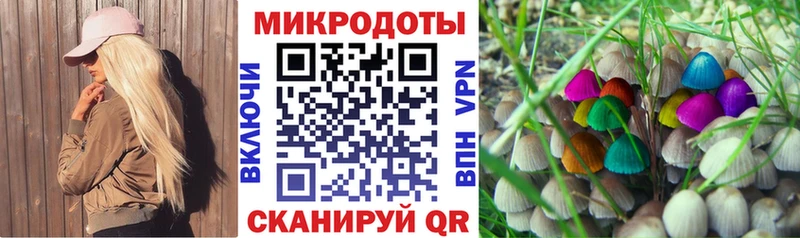 Псилоцибиновые грибы мицелий  Купить где  Шиханы 